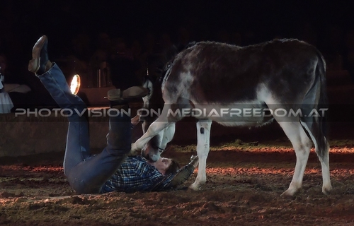 Magische Begegnungen 16