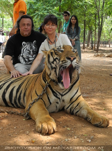 The B-Day of the Tigerman Pix 094