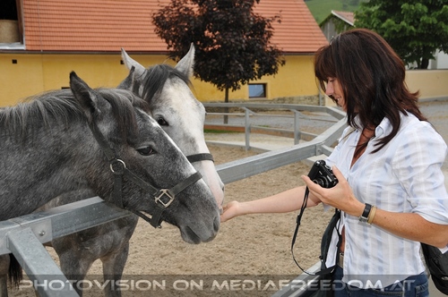 In den Stallungen 03
