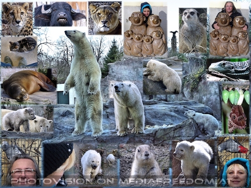 Rendezvouz mit Tier und Mensch