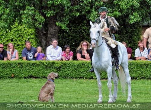 Greifvogel Vorf�hrung 28