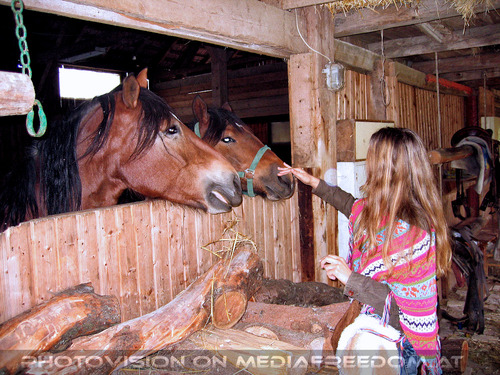 1000 sch�ne Dinge 20