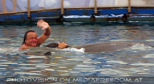 Swim with Dolphins 17