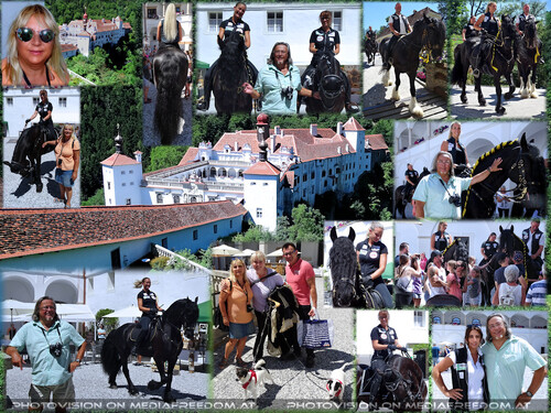 Photoshootings mit den Pferden