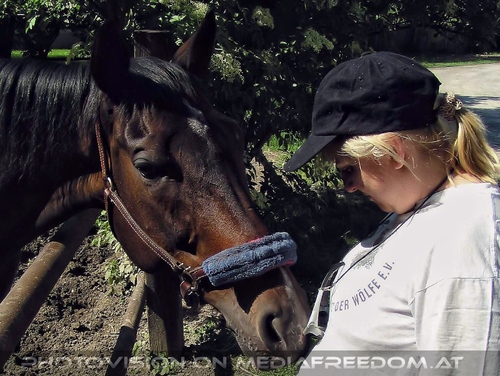 Die alten Stallungen 13