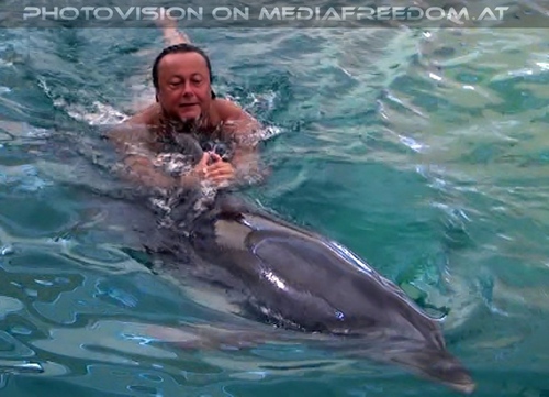 Swim with Dolphins 18