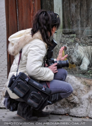 Wei�e Tiger Kindergarten 35: Eva D.