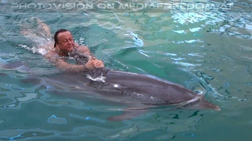 Swim with Dolphins 19: Charly Swoboda