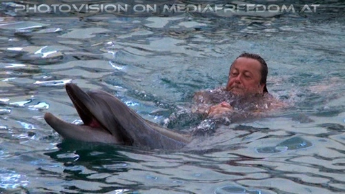 Swim with Dolphins 20: Charly Swoboda