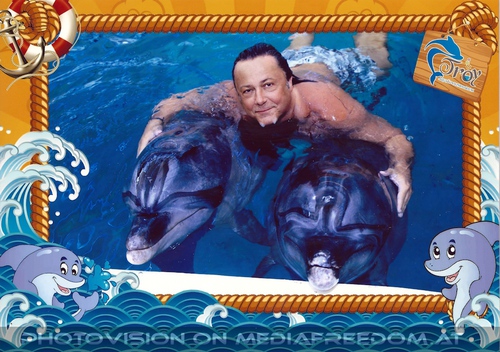 Swim with Dolphins 25