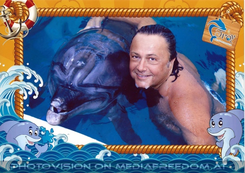 Swim with Dolphins 26