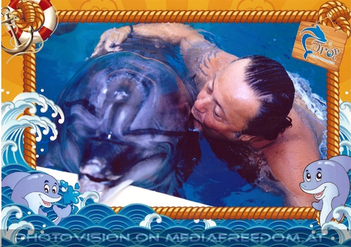 Swim with Dolphins 27