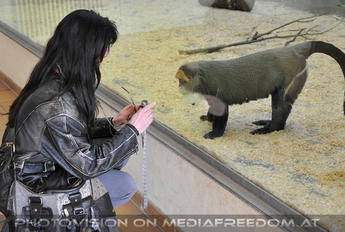 Im Affenhaus 05