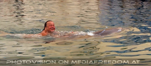 Swim with Dolphins 31