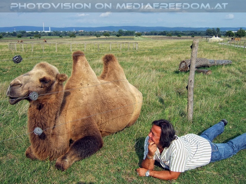 Das Kamel und ich: Charly Swoboda