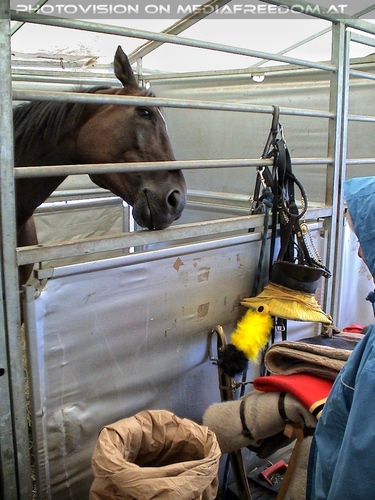 Napoleon - Im Zeichen der Kavallerie 02