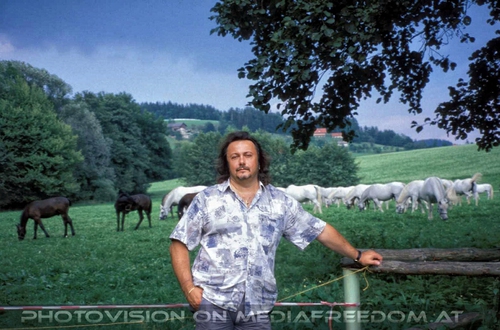 Auf der Lipizzaner Weide 06