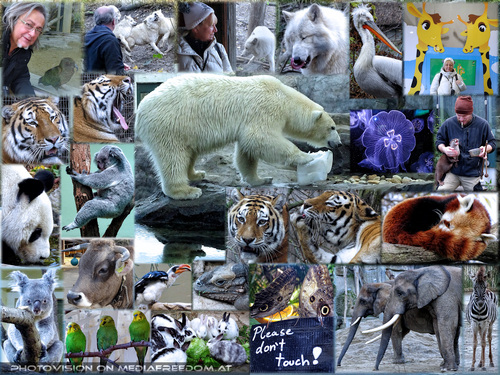 Please don't touch...: Gabriele P., Charly Swoboda