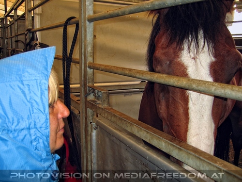 Napoleon - Im Zeichen der Kavallerie 38