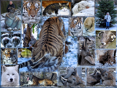 Kuscheln und....: Gabriele P., Charly Swoboda