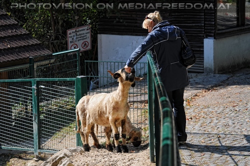Linzer Tiergarten 25