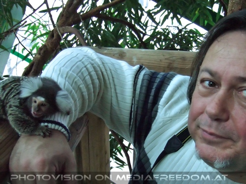 Mit Wei�b�schel�ffchen 1