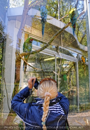 Linzer Tiergarten 29