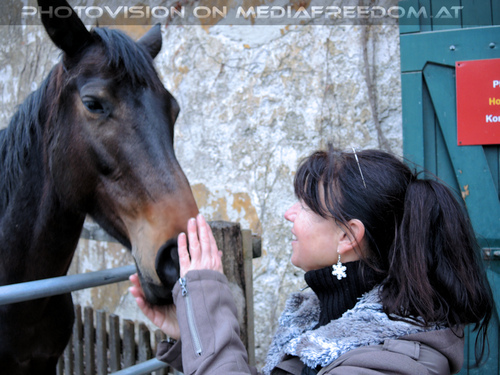 Menagerie 28: Eva D.