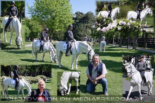 Lipizzaner Rundgang: Gabriele P., Charly Swoboda