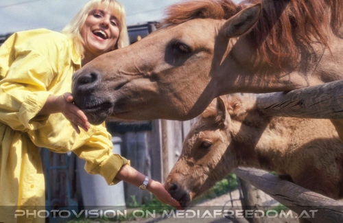 Fohlen Stuten F�tterung
