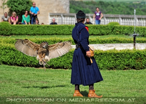 Greifvogel Vorf�hrung 32