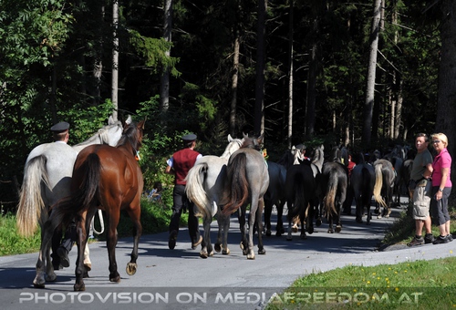 Nach Maria Lankowitz 01