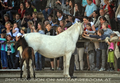 Die Lipizzaner Heimat 066