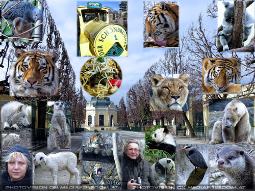 Die Sch�nbrunner: Gabriele P., Charly Swoboda