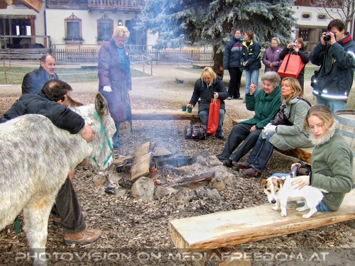 Die Tierretter von Aiderbichl 31