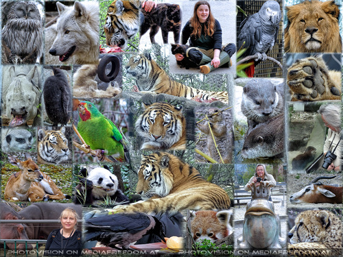 Viel beobachten, viel lernen: Gabriele P., Charly Swoboda