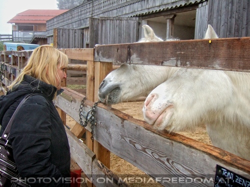 Die Tierretter von Aiderbichl 39