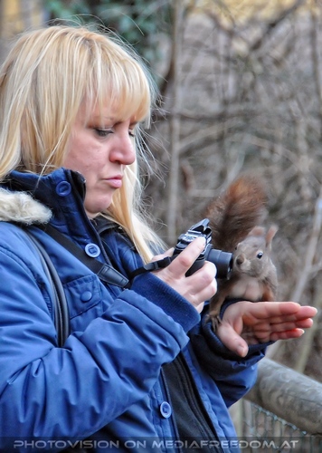 Eichk�tzchen f�ttern 14