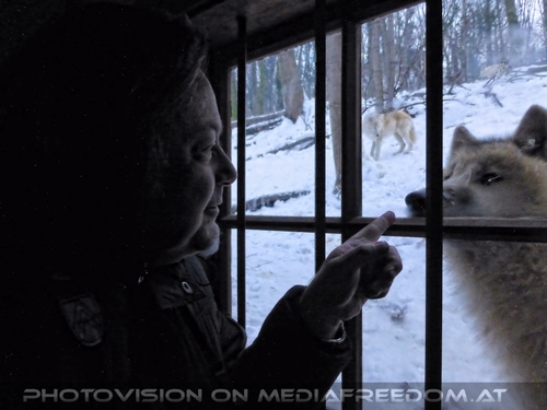 Polar W�lfe 21: Charly Swoboda