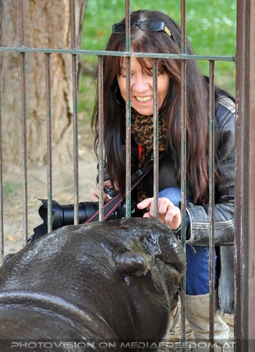 Kleines Flusspferd 01