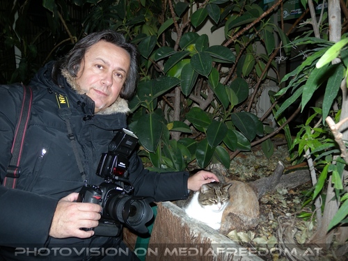 Mit der Tiergarten Katze 1