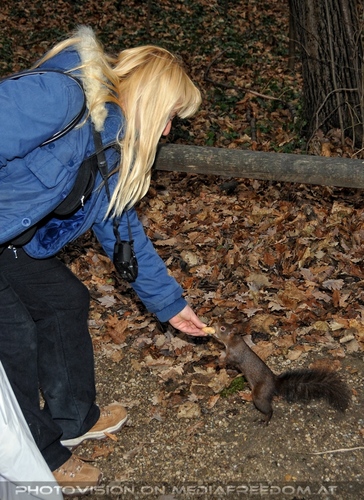 Eichk�tzchen f�ttern 03: Gabriele P.