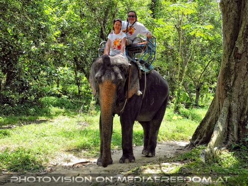 Namuang Jungle Elephant Trip 12: Eva D.,Charly Swoboda