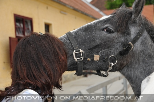 In den Stallungen 06