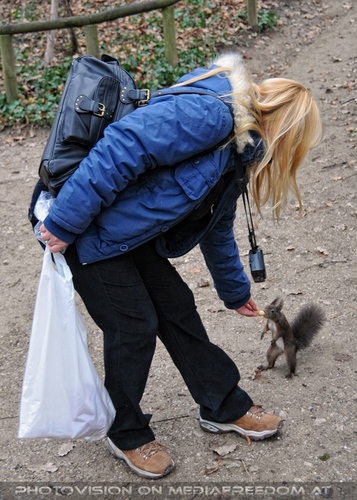 Eichk�tzchen f�ttern 01: Gabriele P.