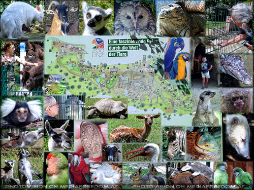 Eine faszinierende Reise durch die Welt der Tiere