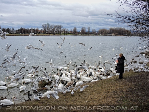 Wasservogel Paradies 03: Gabriele P.