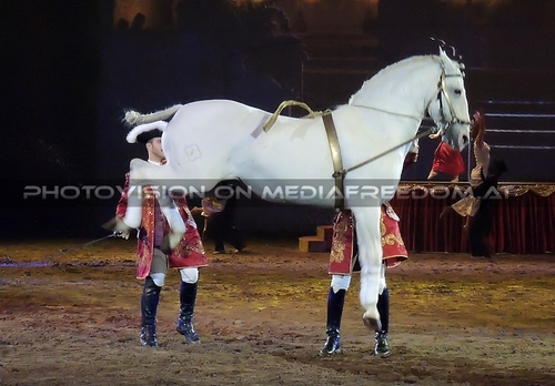 Magische Begegnungen 30