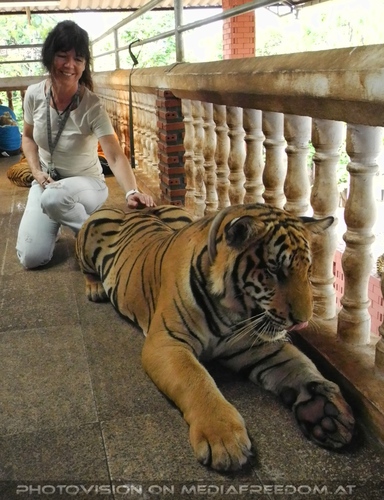 The B-Day of the Tigerman Pix 023