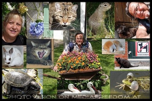 Tiergarten in den Blumeng�rten